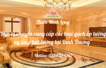 Chọn gạch ốp tường phòng khách cho ngôi nhà thêm hài hòa, sang trọng