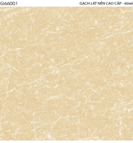 VSG66001 (hàng sẵn kho)