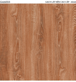 GẠCH LÓT NỀN VSG66003 (HÀNG SẴN KHO)