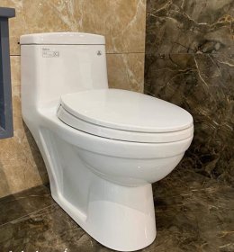 BỒN CẦU 1 KHỐI VIGLACERA BL5