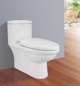 BỒN CẦU 1 KHỐI VIGLACERA  BL5V