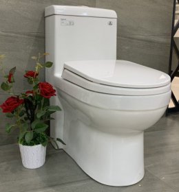 BÀN CẦU KHỐI VIGLACERA- V41