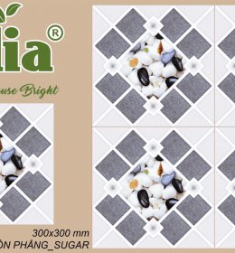 GẠCH LÁT NỀN- CELIA CG3302