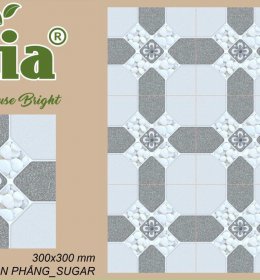 GẠCH LÁT NỀN- CELIA CG3303