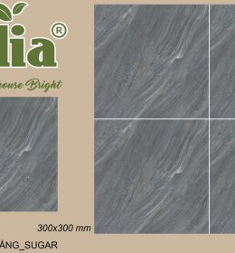 GẠCH LÁT NỀN- CELIA CG3632
