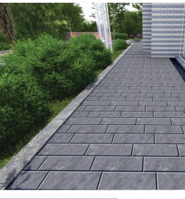 CVG6016- KHUÔN PHẲNG- SUGAR