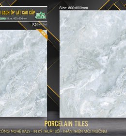 GẠCH LÓT NỀN MZ6584 (HÀNG SẴN KHO)