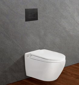 BỒN CẦU ÂM TƯỜNG VIGLACERA V51KA