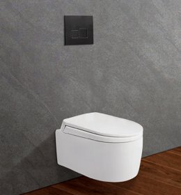 Bàn cầu Két Âm (treo tường) V55