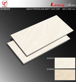 GẠCH ỐP LÁT EX66325 (HÀNG CÓ SẴN KHO)