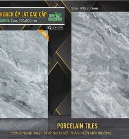 GẠCH LÓT NỀN MZ6610 (HÀNG SẴN KHO)