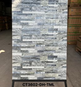 GẠCH TRANG TRÍ CT3602