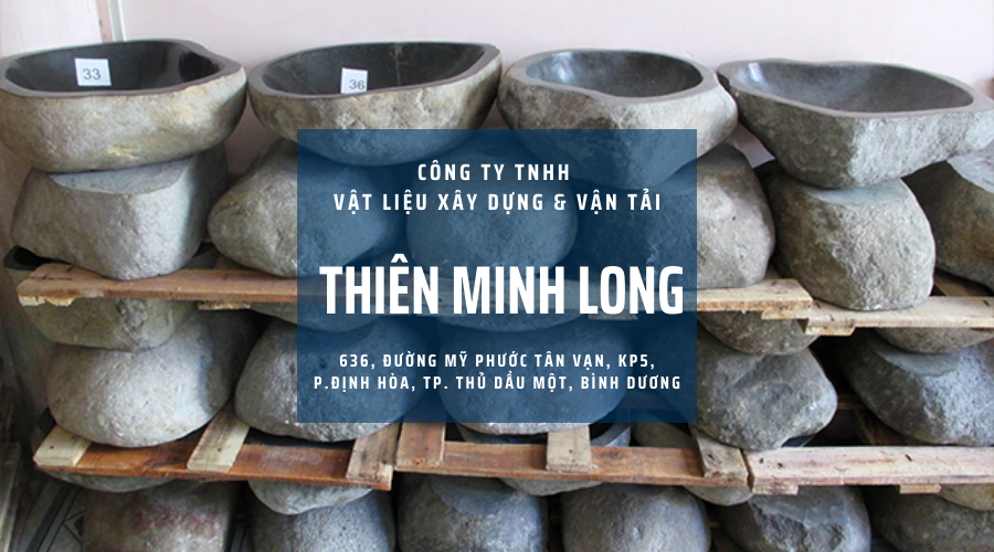 công ty thiên minh long 